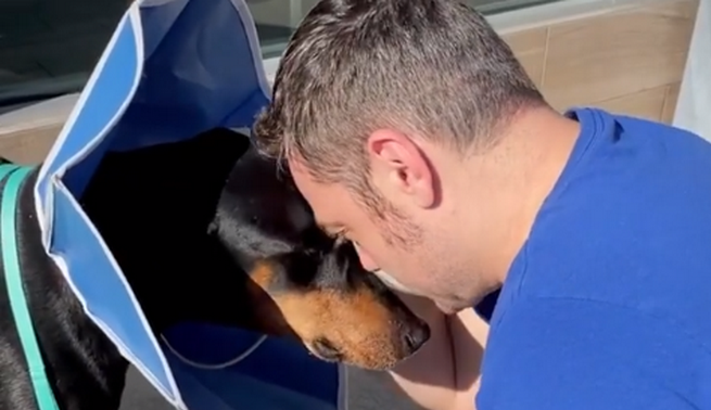 Tiziano Ferro rivede il cane Beau e si commuove (VIDEO)