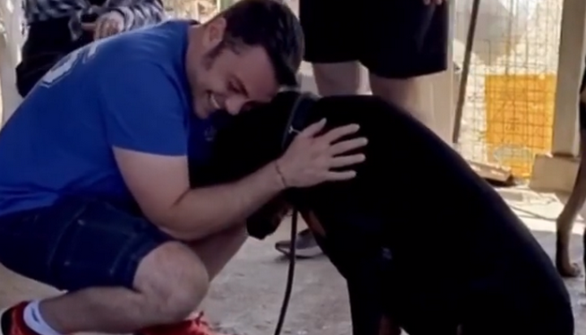 Tiziano Ferro adotta un altro cane dopo la morte di Beau: &#8220;Si chiama Jake ed era suo amico&#8221; (VIDEO)