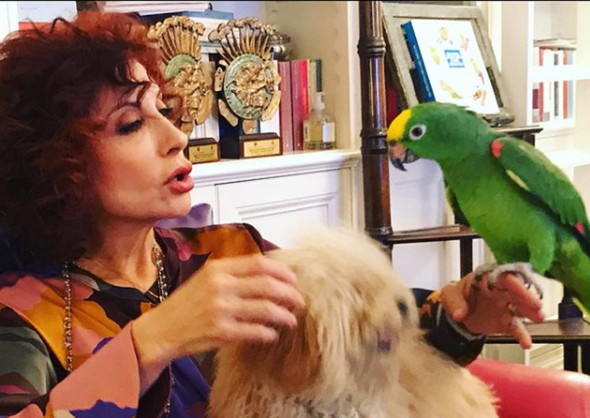 Alda D'Eusanio, concorrente del Grande Fratello Vip 5