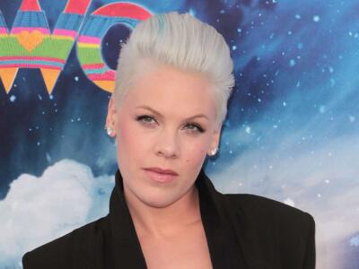 Pink in concerto: una fan le lancia le ceneri della madre