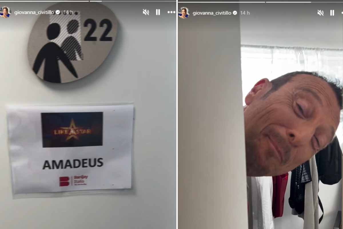 camerino amadeus