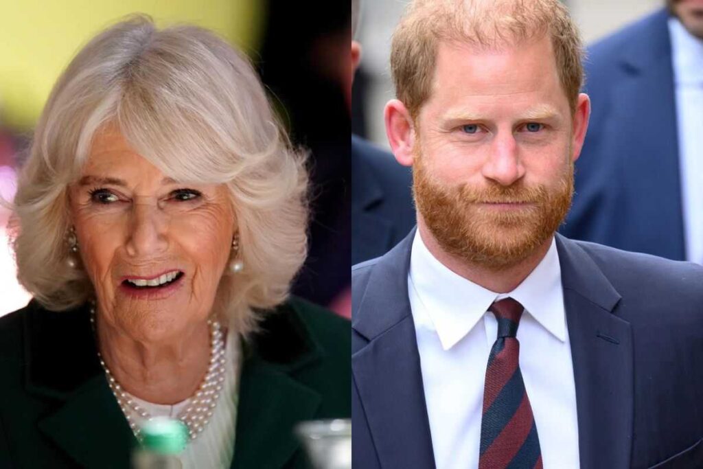 Camilla contro Harry?
