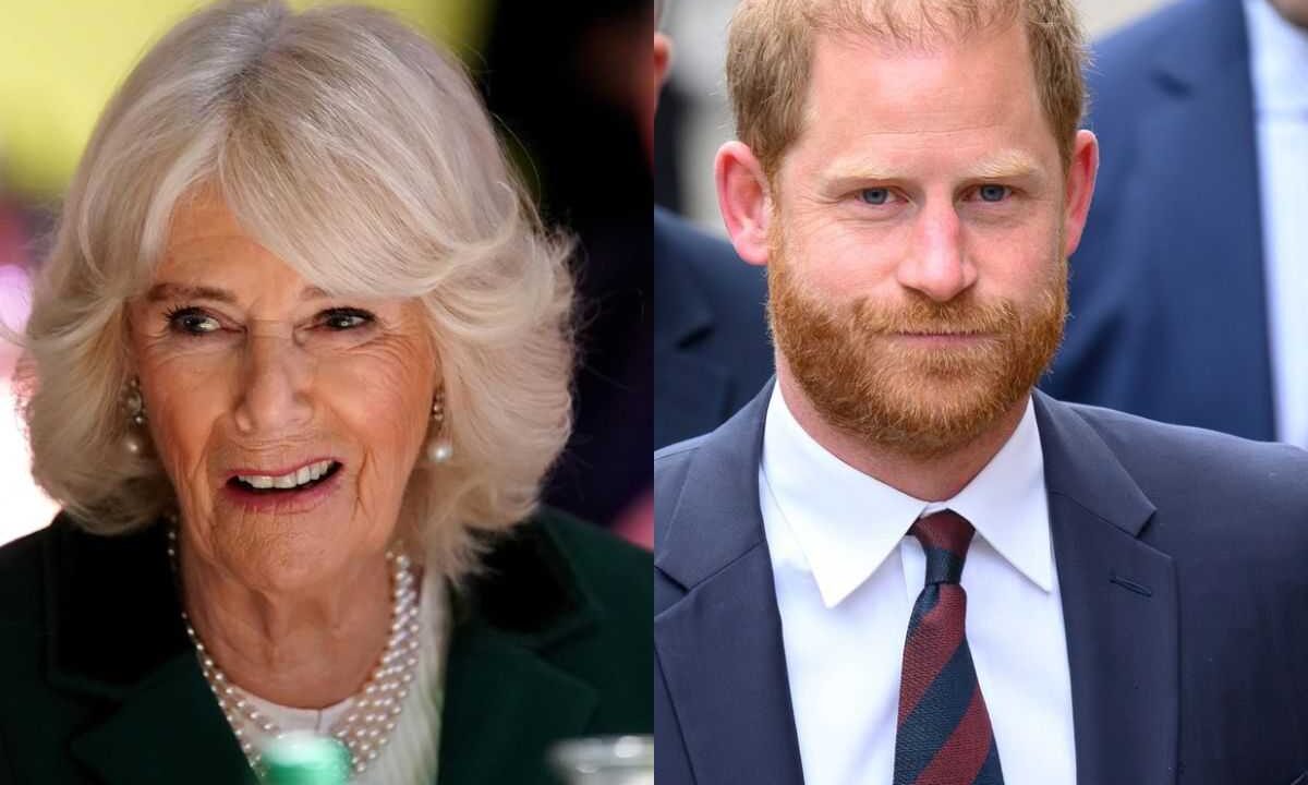 Camilla contro Harry?