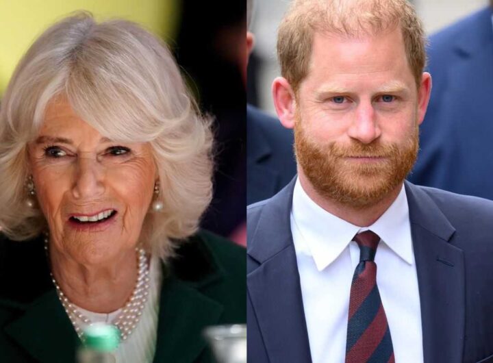 Camilla contro Harry?