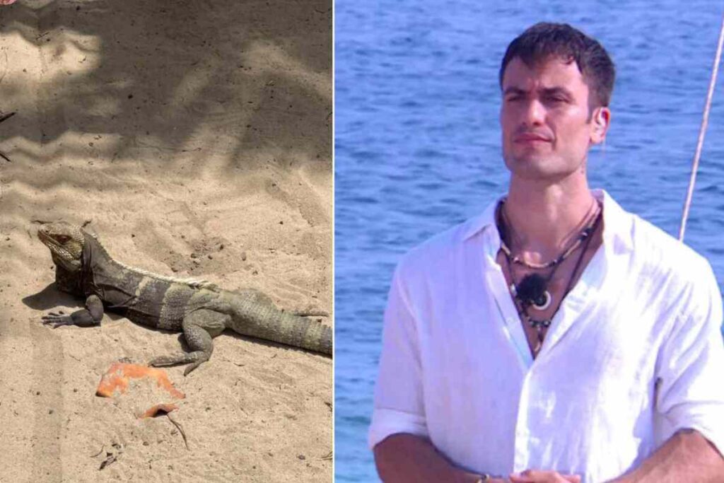 pierpaolo pretelli avvistamento isola