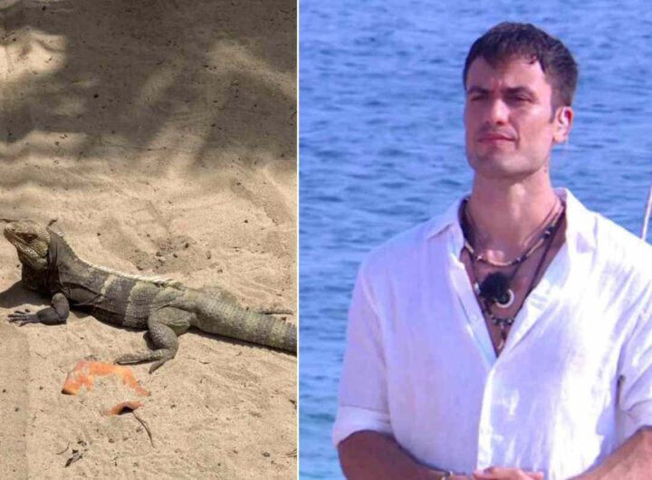 pierpaolo pretelli avvistamento isola