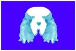 test cosa vedi