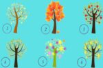 test albero personalità
